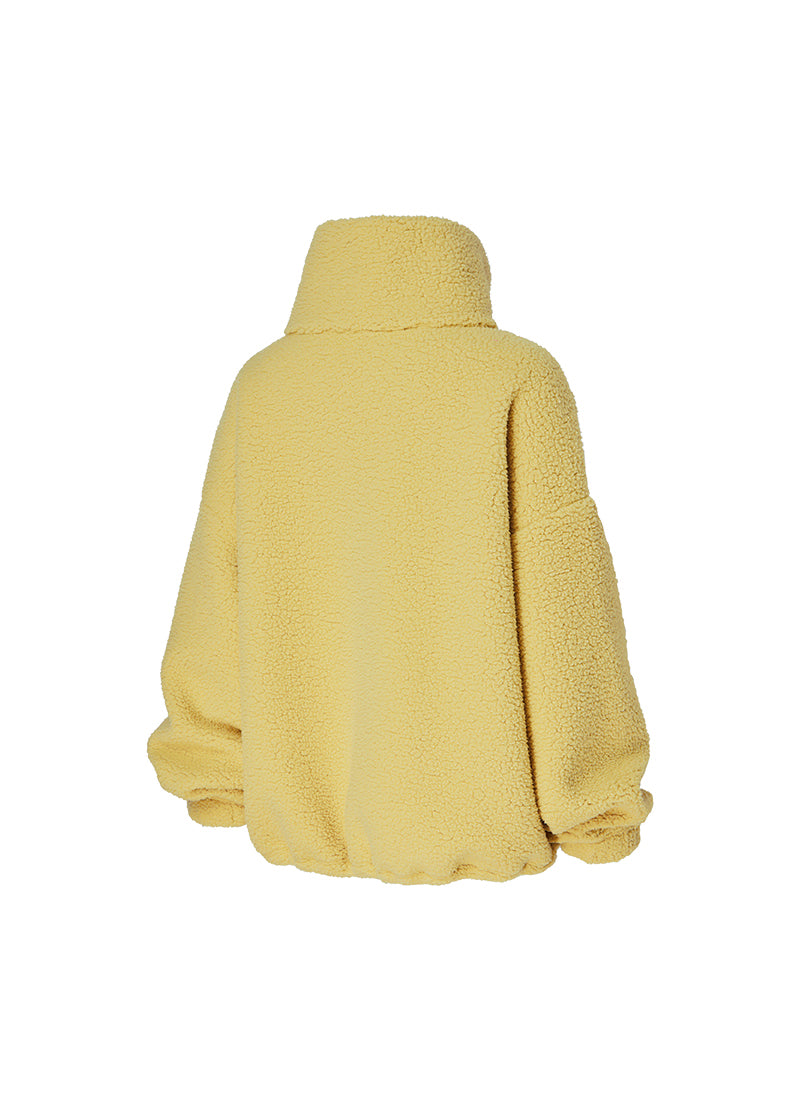 Yellow Pampas
